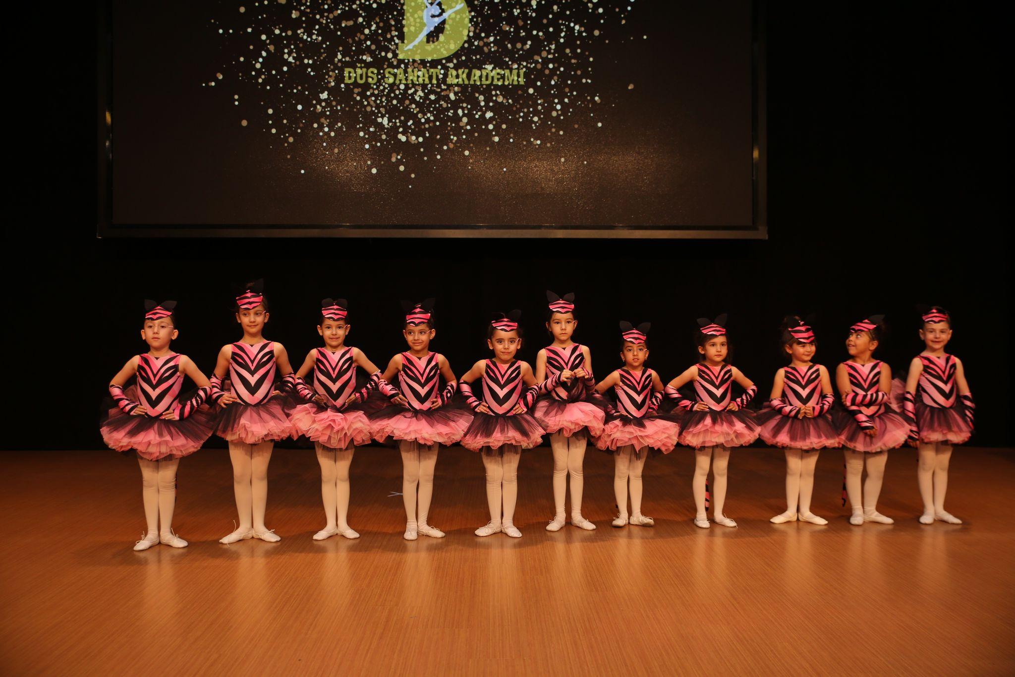 TC. MEB Düş Sanat Akademi