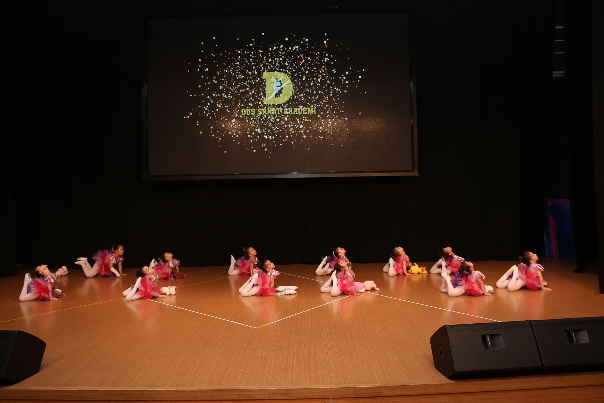 TC. MEB Düş Sanat Akademi